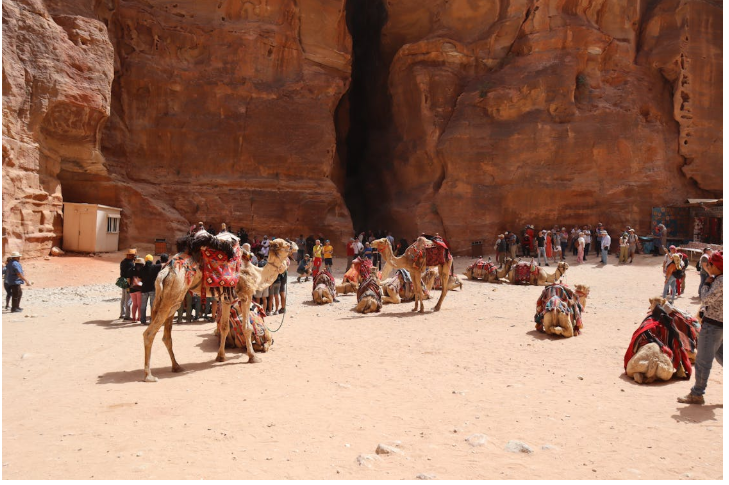 المدينة الوردية في البتراء